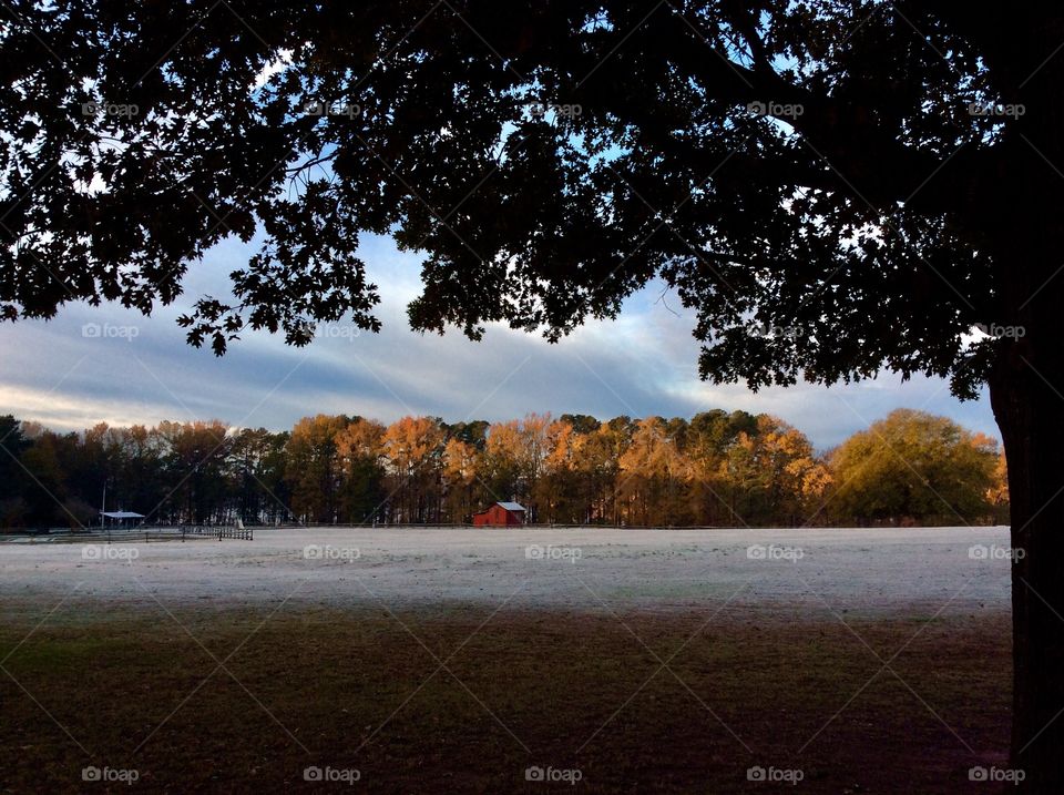 Early morning at Lake Benson Park