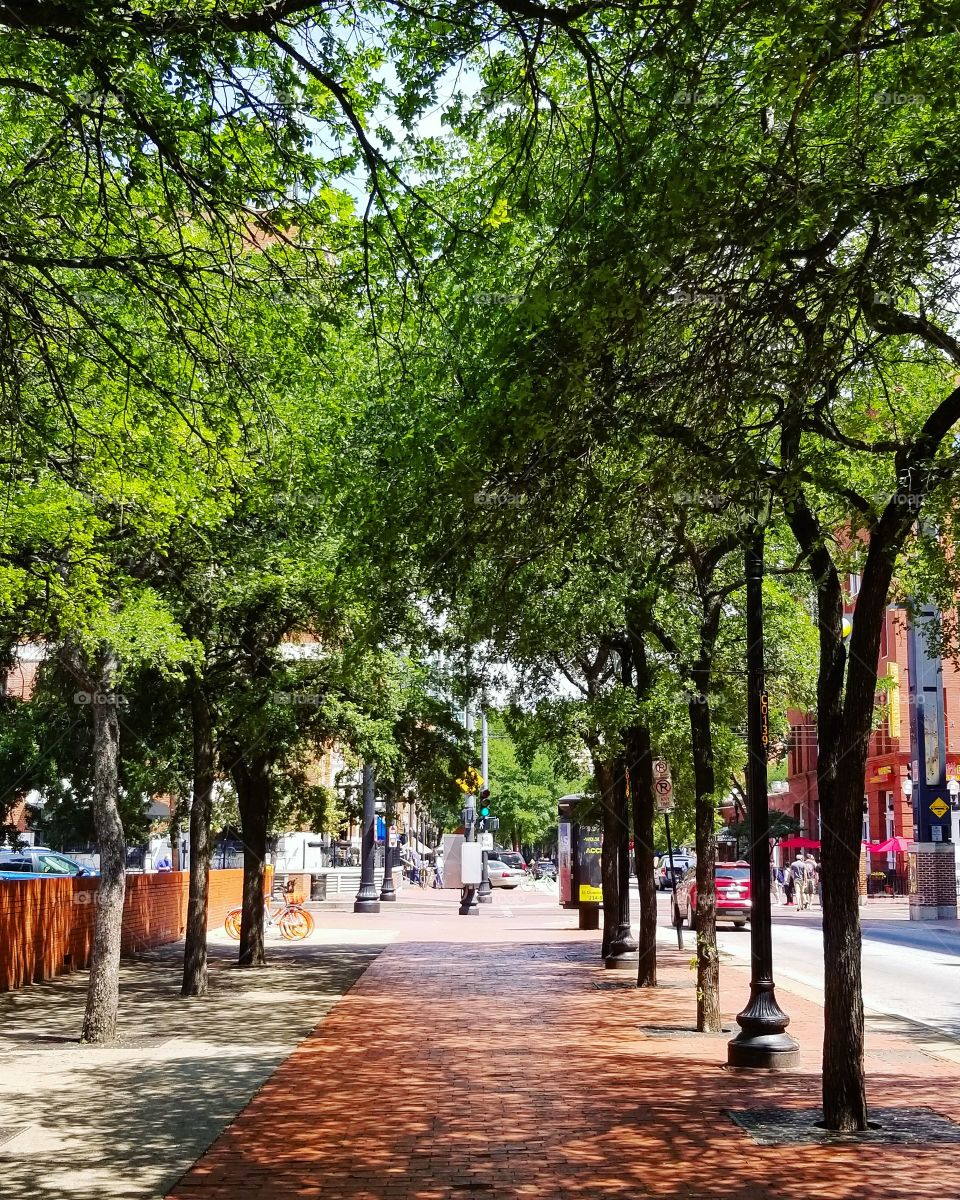 Red sidewalk lined with leafy green trees on a sunny day in downtown Dallas