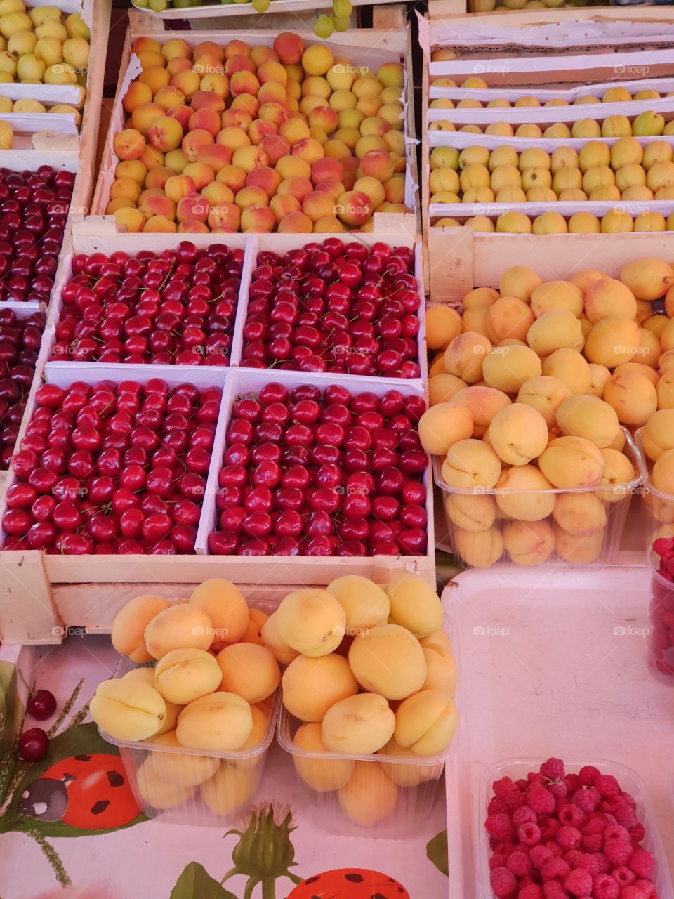 Fruit on the market