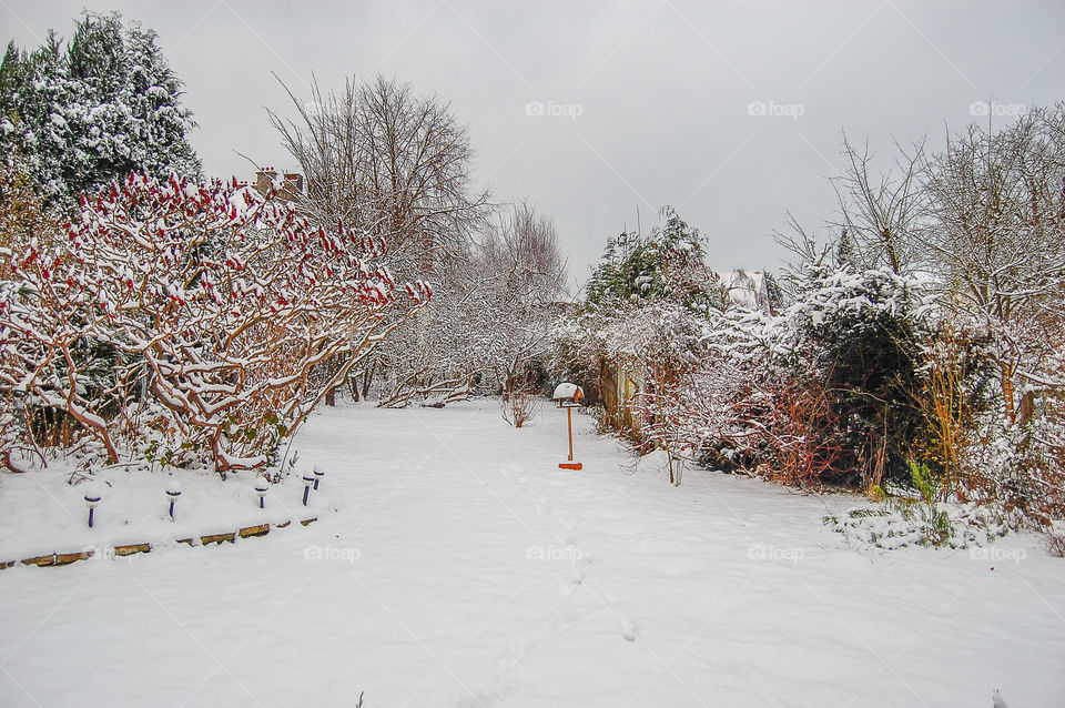 City garden in winter