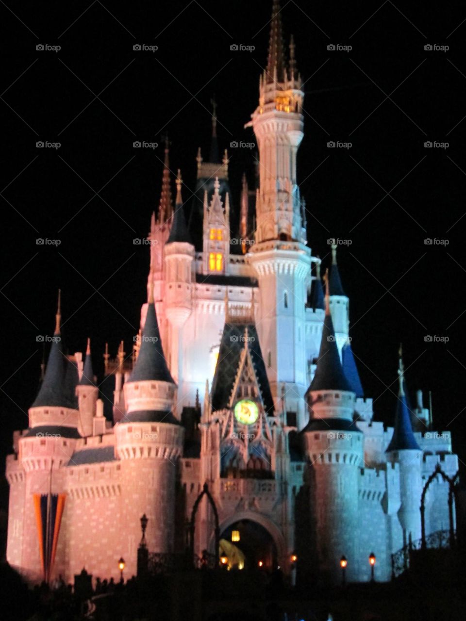 Cinderella castle 