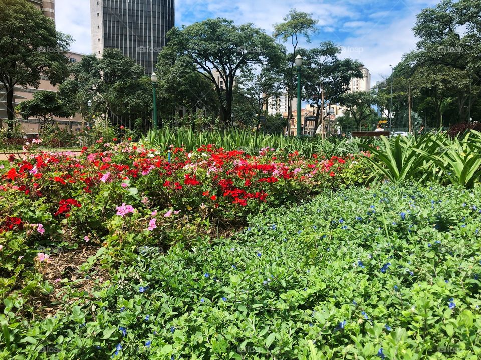 Beautiful park in Brazil