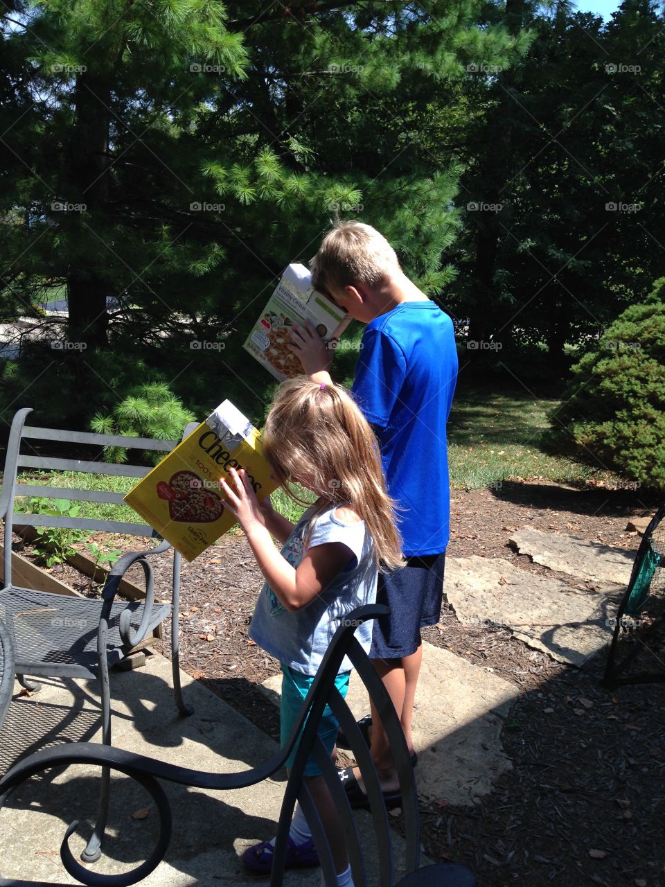 Solar eclipse viewing 