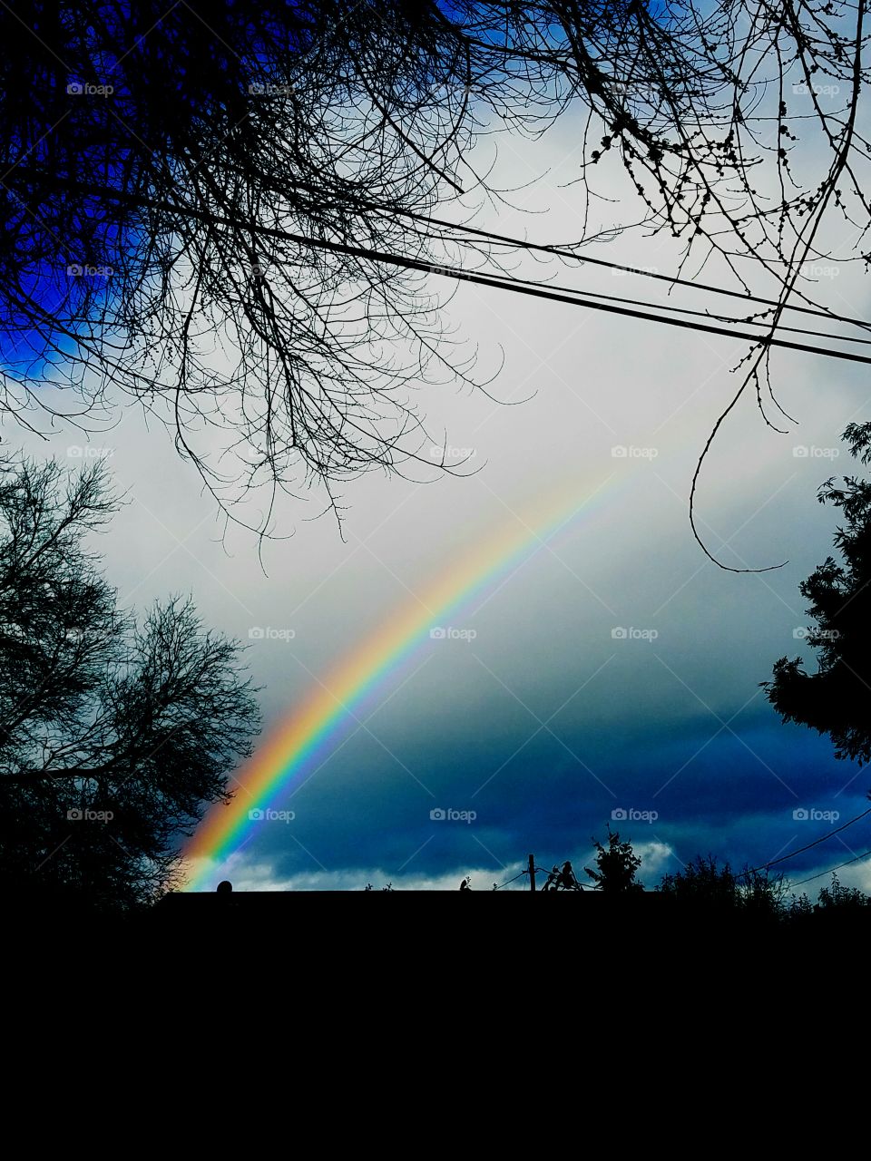 rainbow