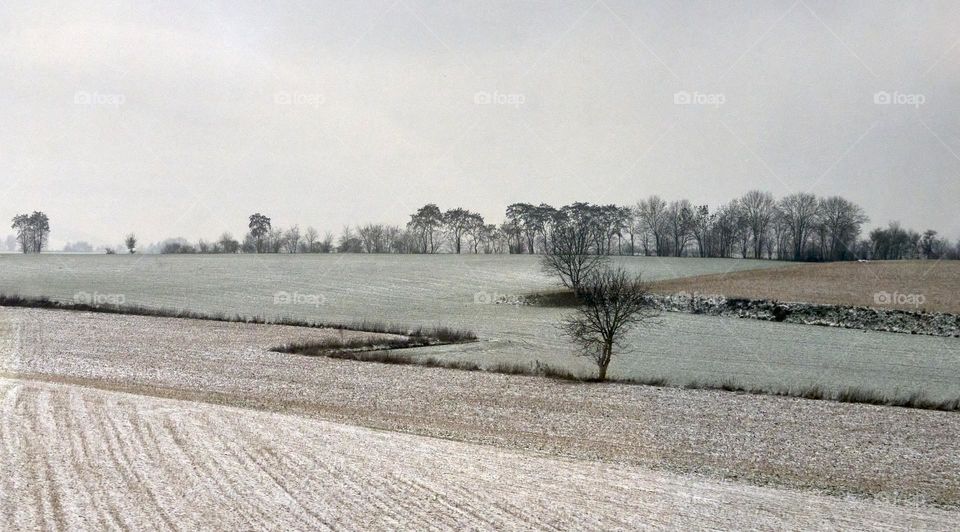 From the train: Flandes Country