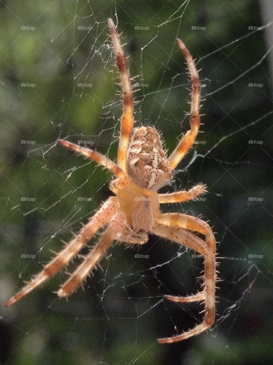 Just outside my window...........