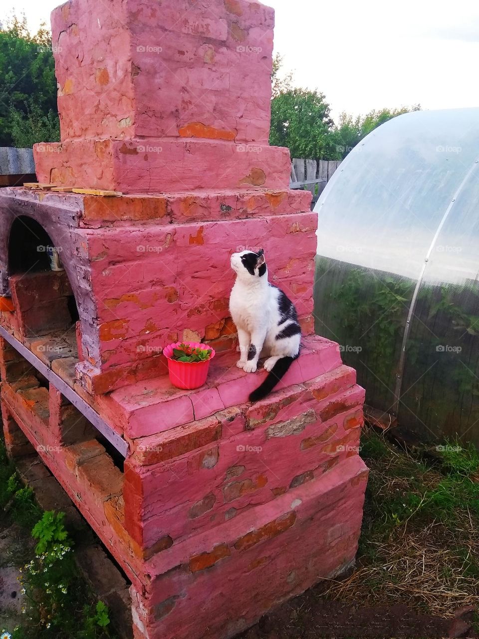 mobile series animals