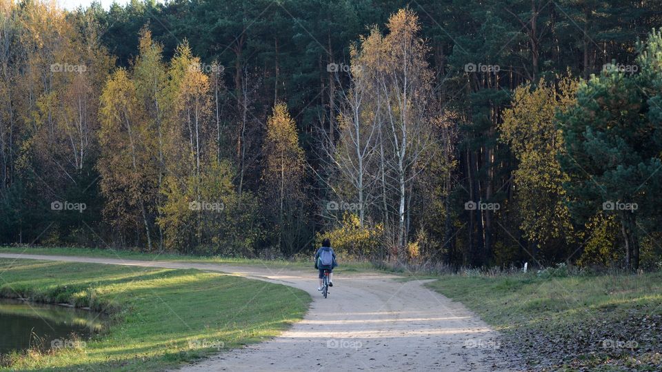 woman riding on a bike autumn landscape no car day