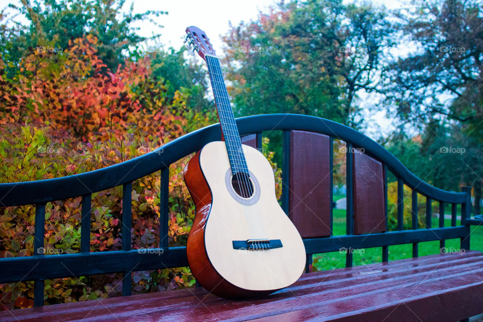 Guitar on bench