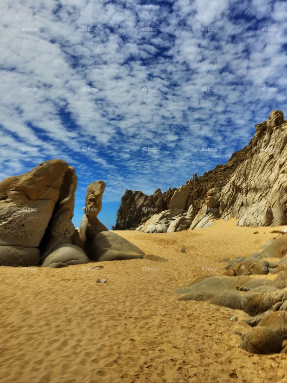 Cabo San Lucas 