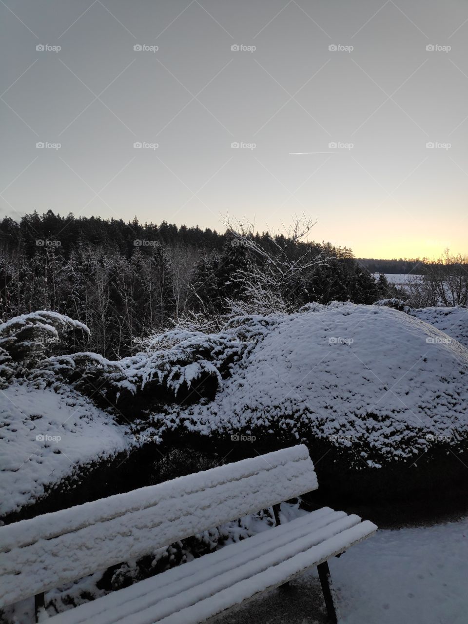 snow White Schwarzwald