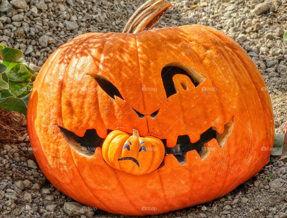 Carved Halloween Pumpkin With A Smaller Pumpkin In Its Mouth