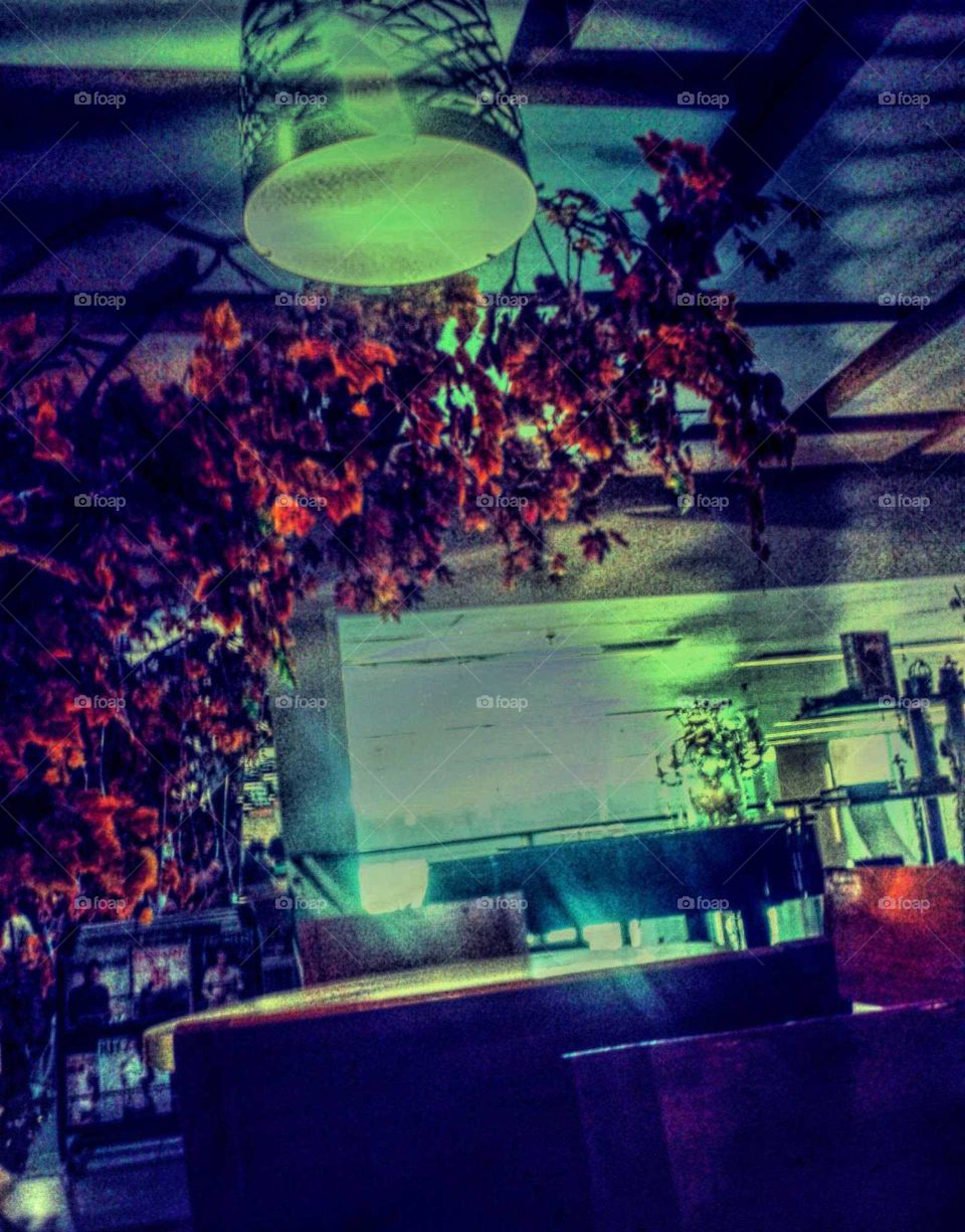 Afternoon Delight #2