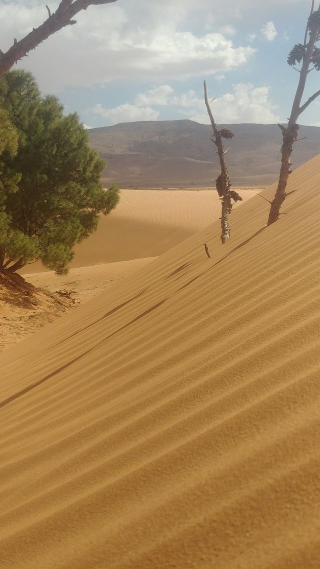 Desert sands