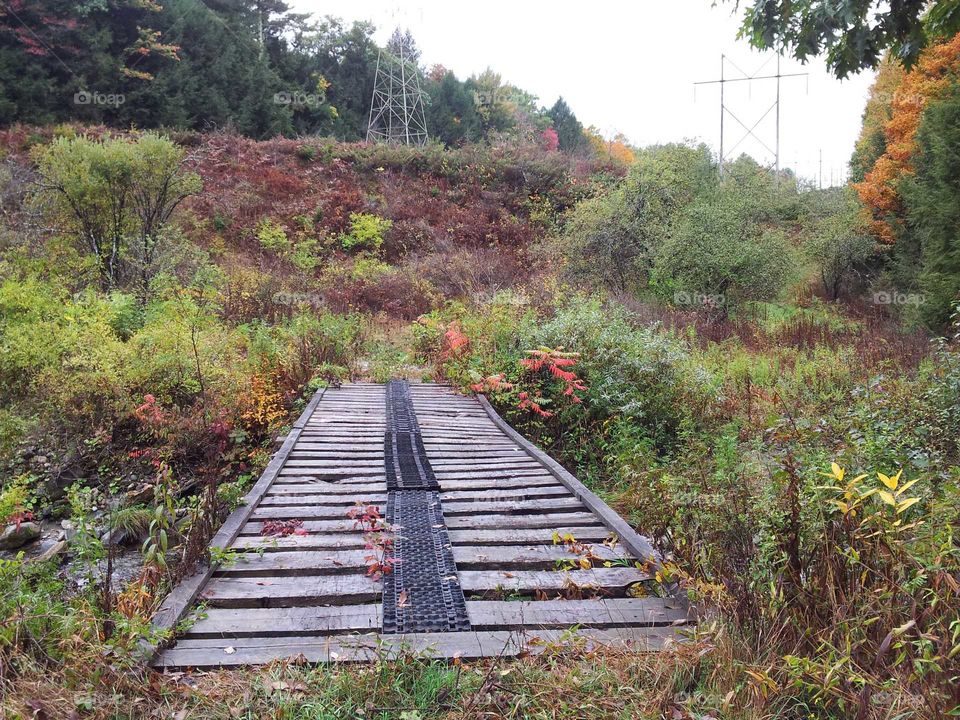 The bridge to the power.