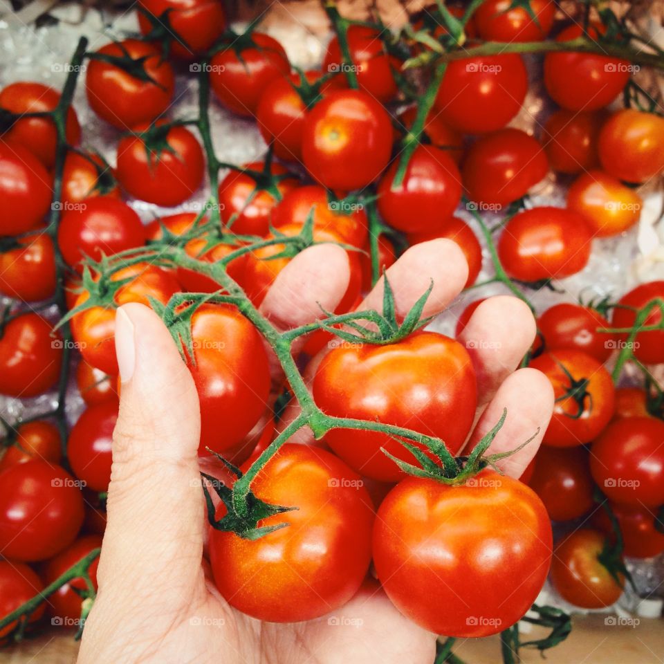 Overhead view of tomato