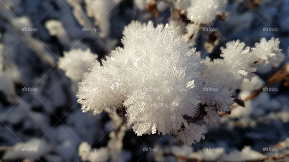 Close up on beautiful snow frost ice crystals in sunshine - närbild snö is kristaller i solsken en vacker vinterdag 