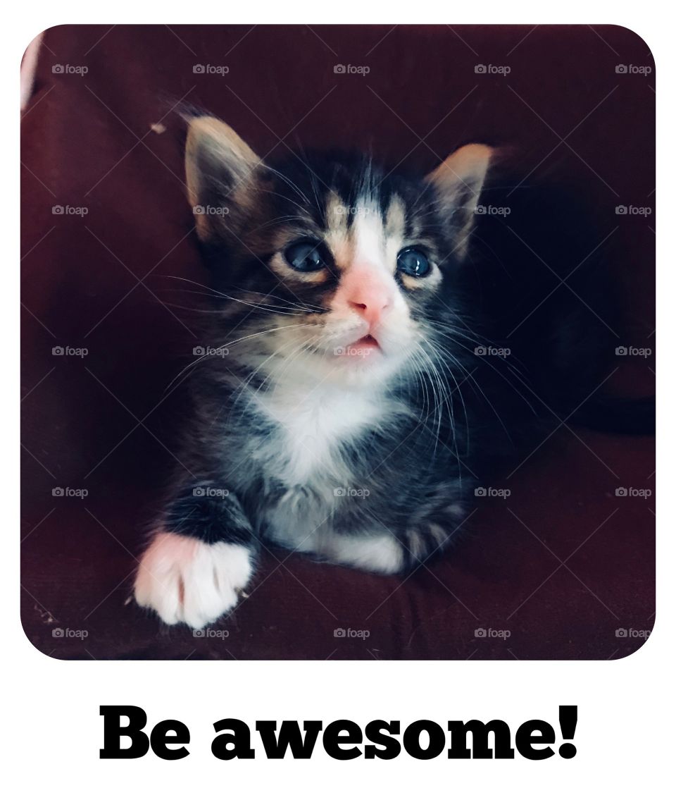 Be awesome! 