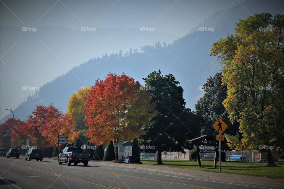 Autumn drive in Washington
