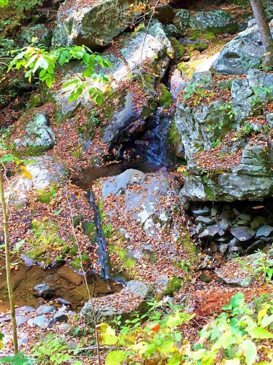 Mini creek waterfall in the Appalachian Mountains Virginia 