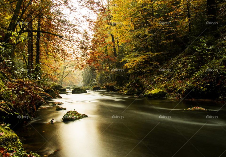 Hrensko, Czech Republic pictures  