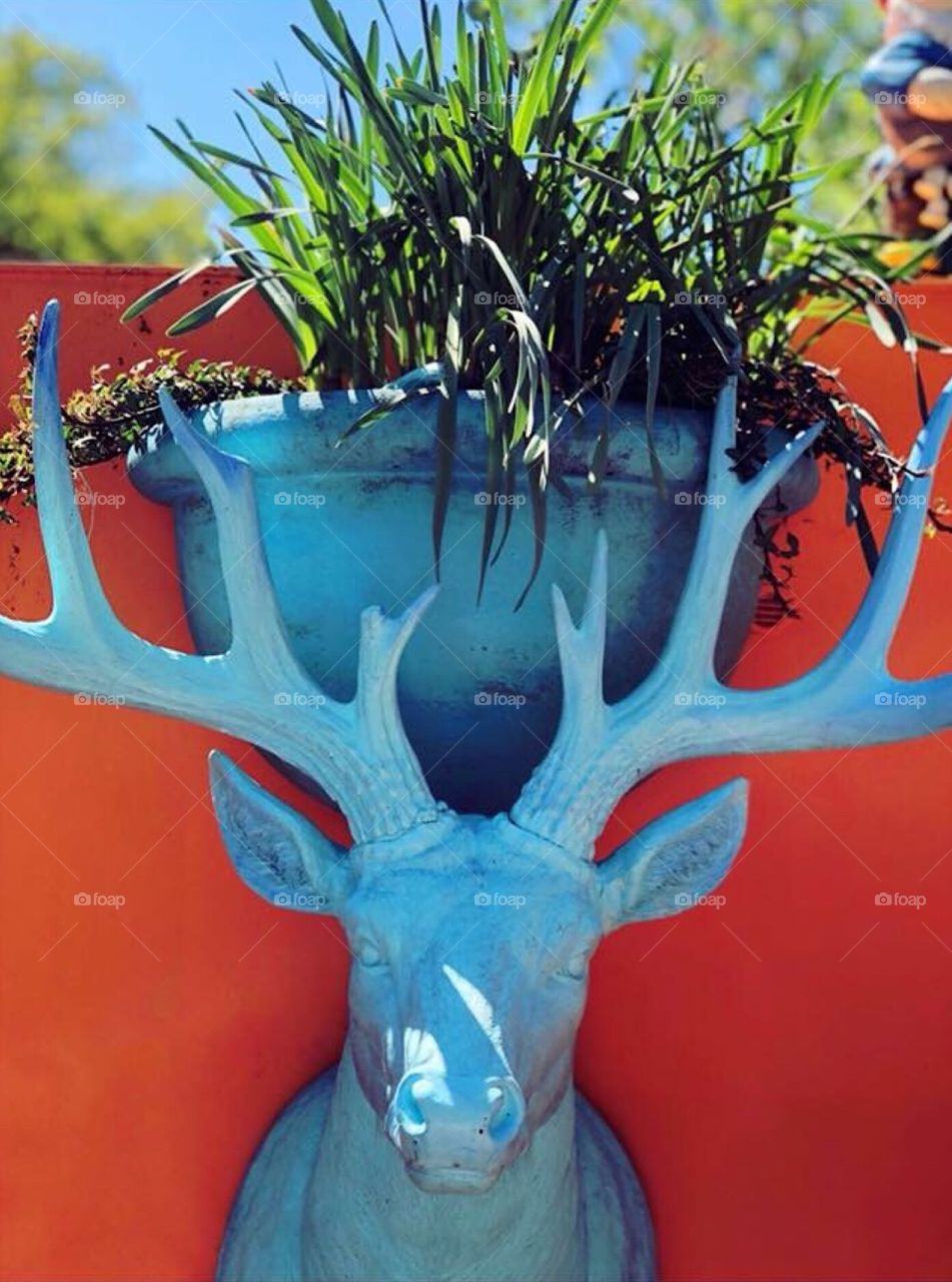 Amsterdam blue stag head flower pot on vibrant orange background