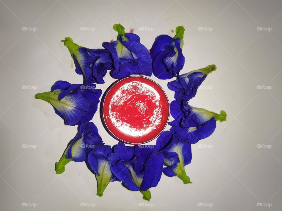 Pink lip balm in the middle of fresh blue pigeonwings flowers against a white background.