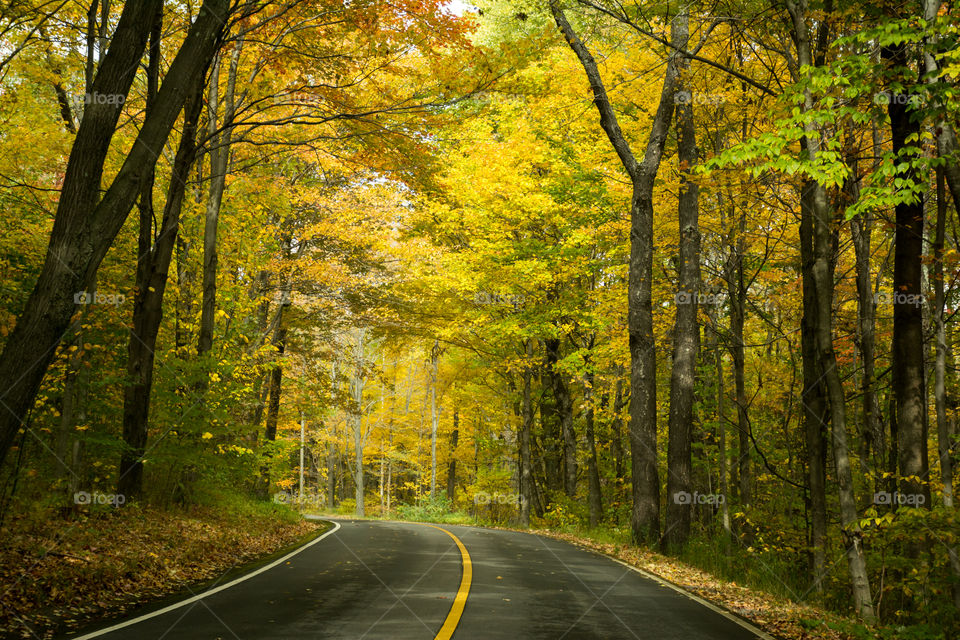 autumn colors