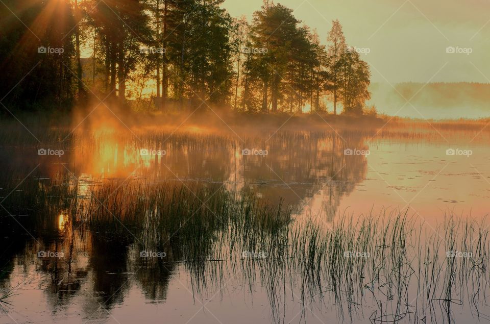 Sunlight on lake