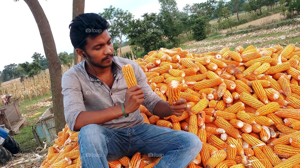 happy farmer with maize