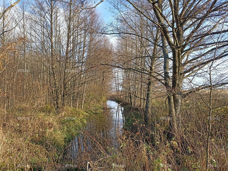 A stream in the autumn forest