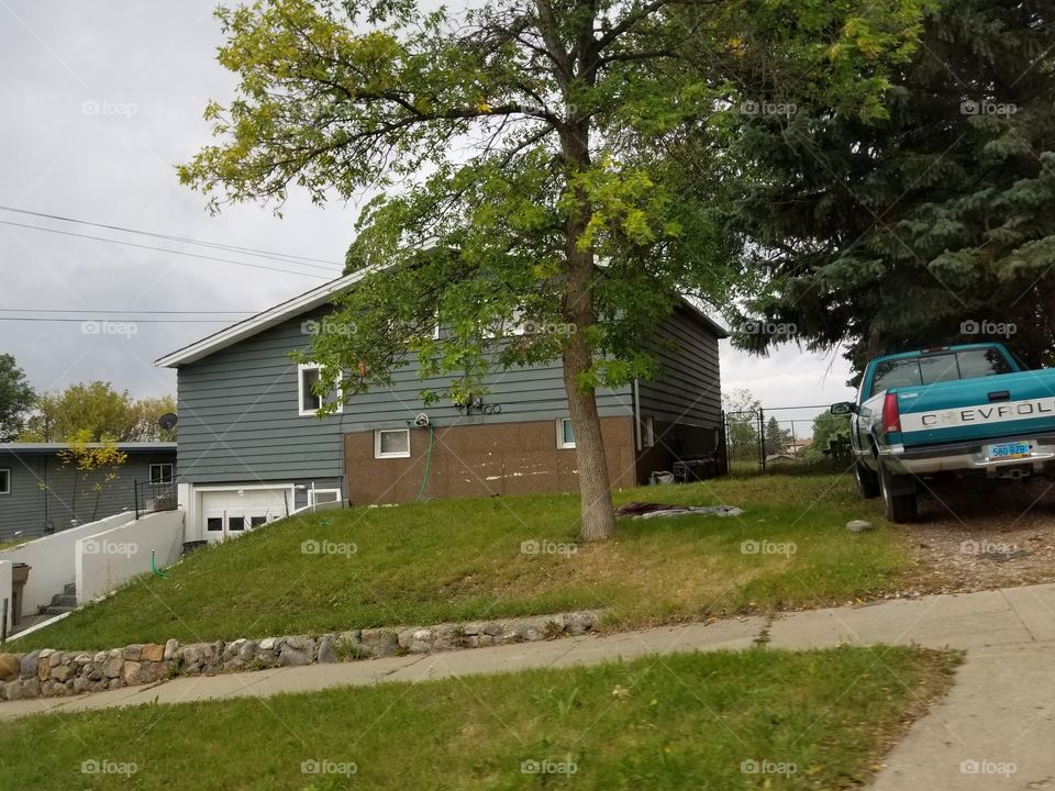 Home, House, Tree, No Person, Building