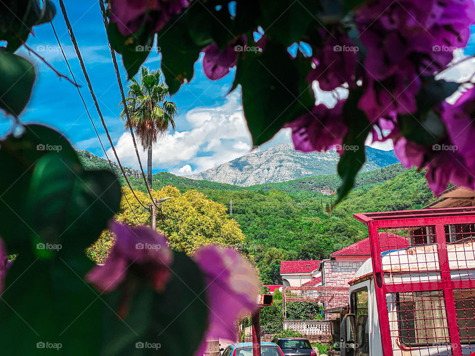 I can’t believe I have seen this with eyes, not only objective 