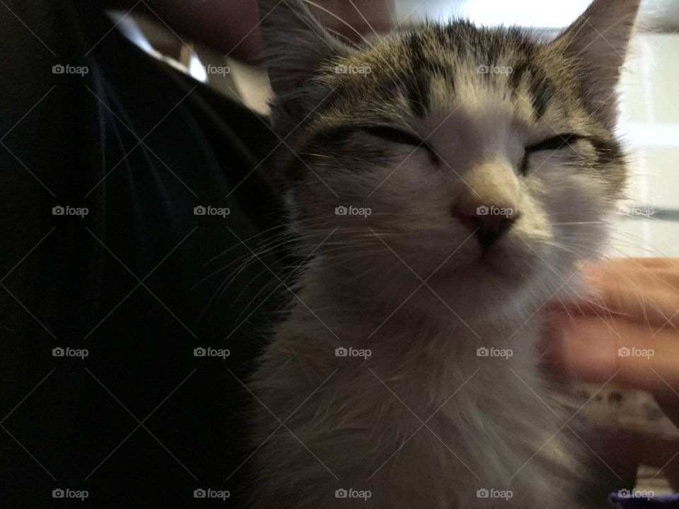 What chu talkin' bout Willis?