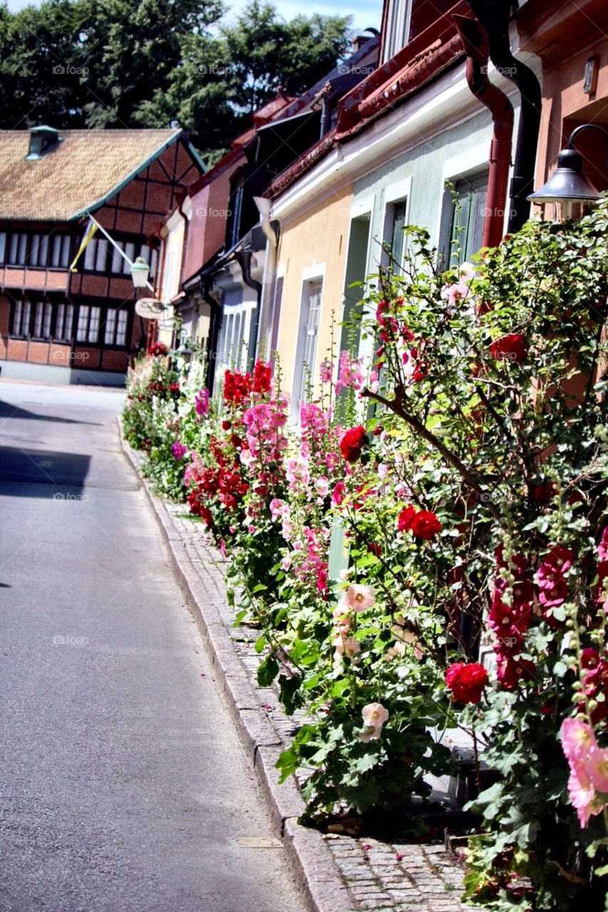 Flowers street 