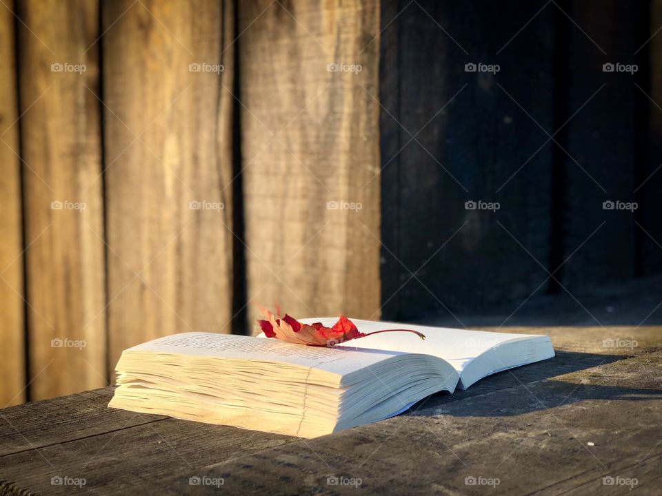 Book and leaf