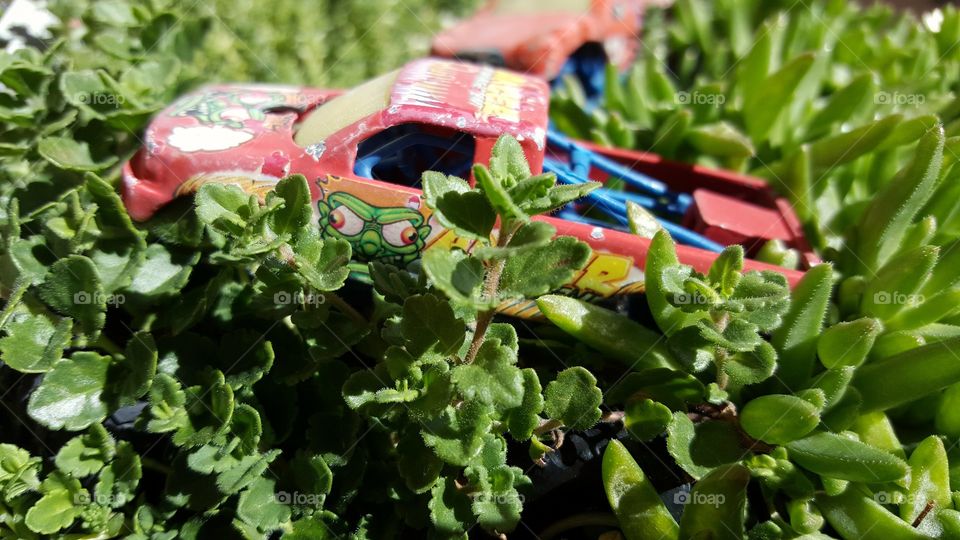 Toy truck in a garden bed of green plants