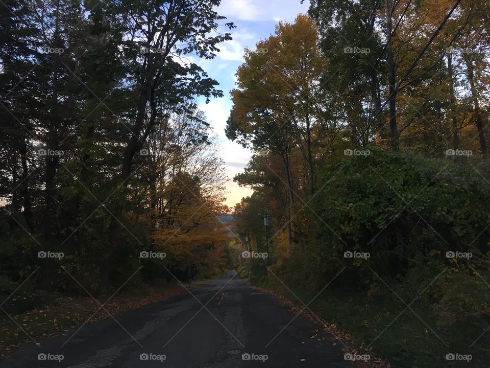 Country road in fall