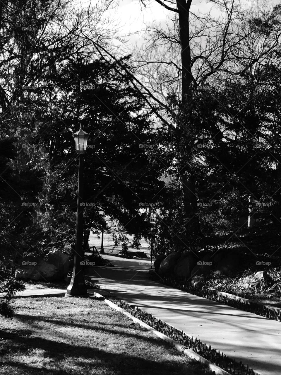 Black and white path