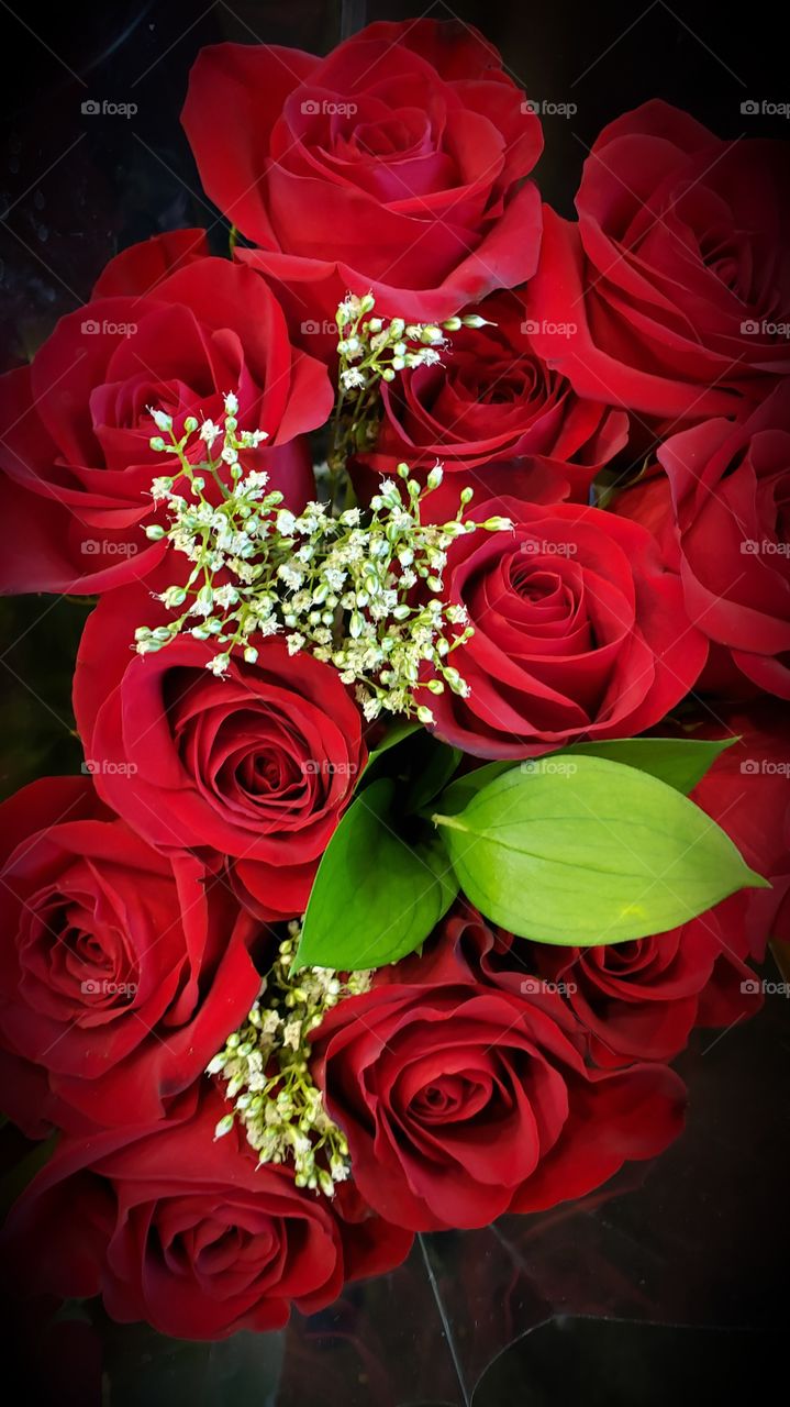 red roses