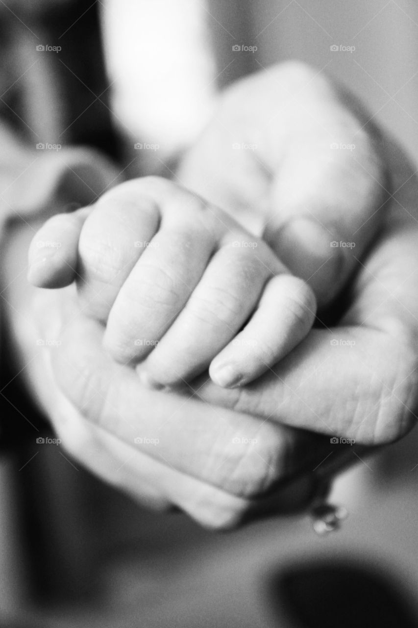 Close-up of babies hand