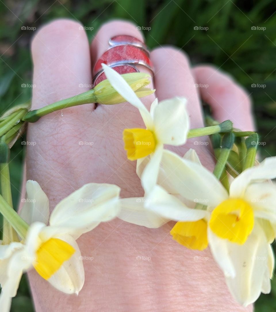 yellow flowers