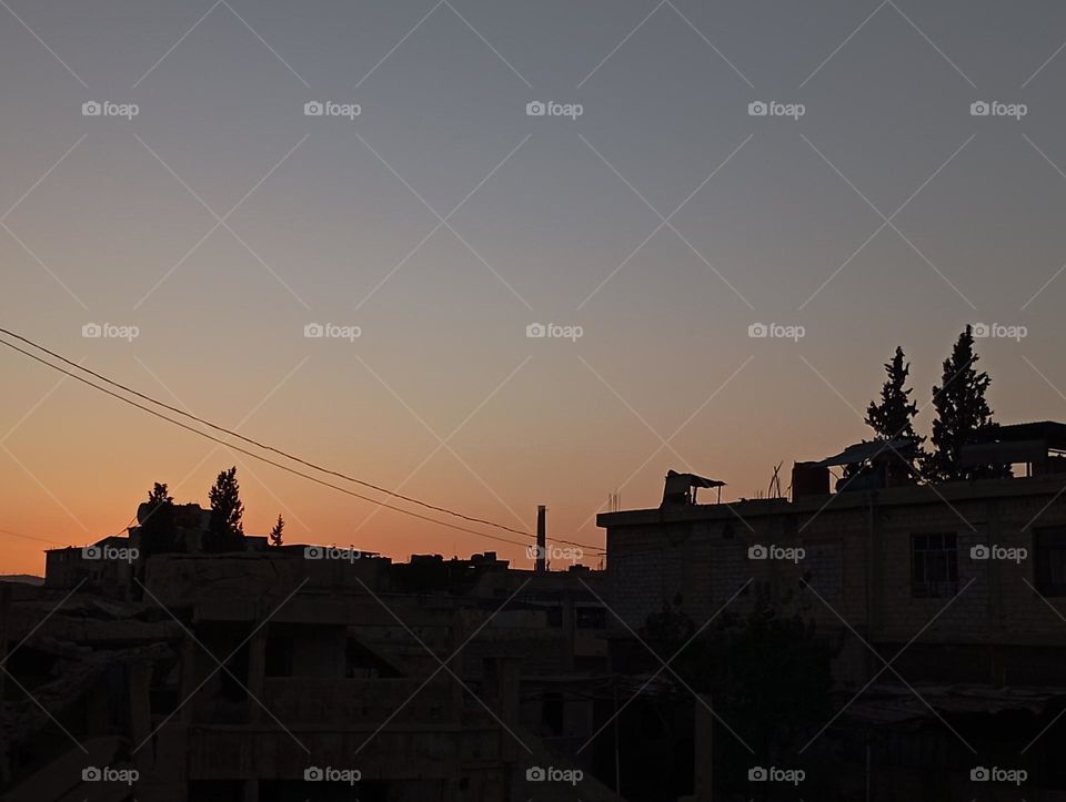 It is human nature to always search for true beauty