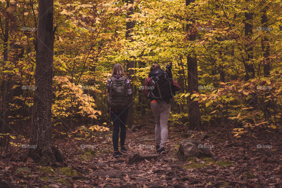 Two friends hike up a trail upstate New York in autumn for fall foliage 