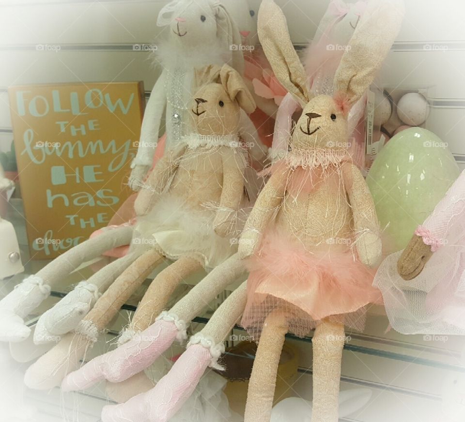 Hopping Down The Bunny Trail