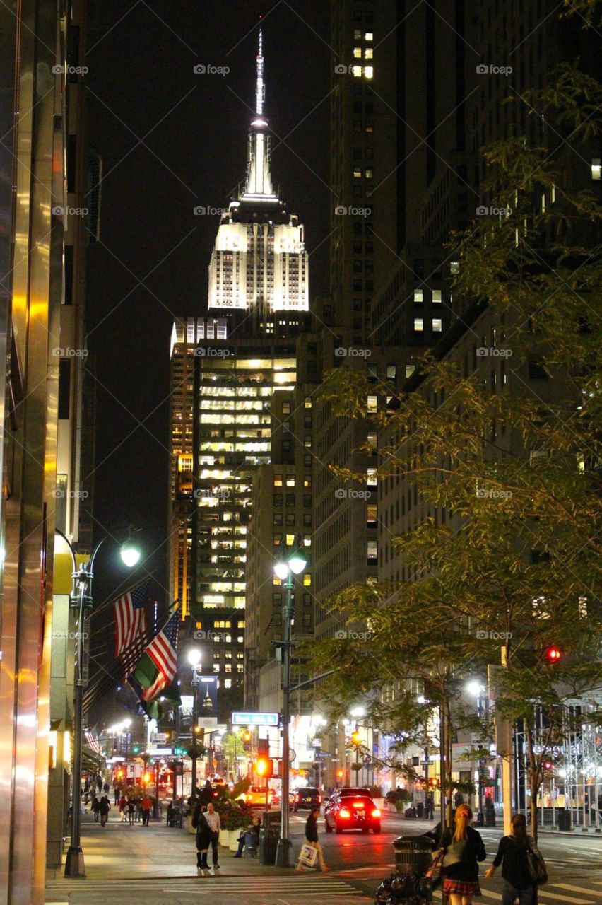 Empire State Building 