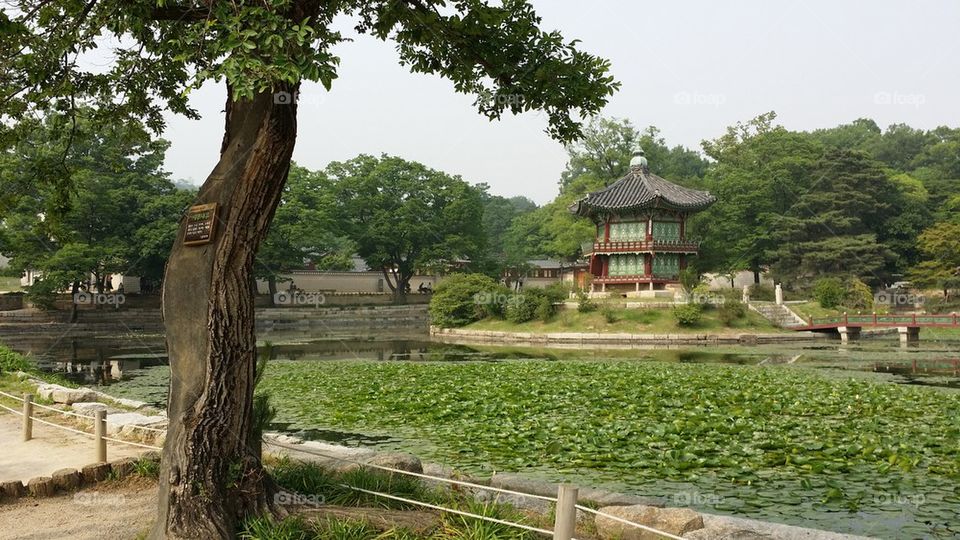 Gyeongbokgung (raw)
