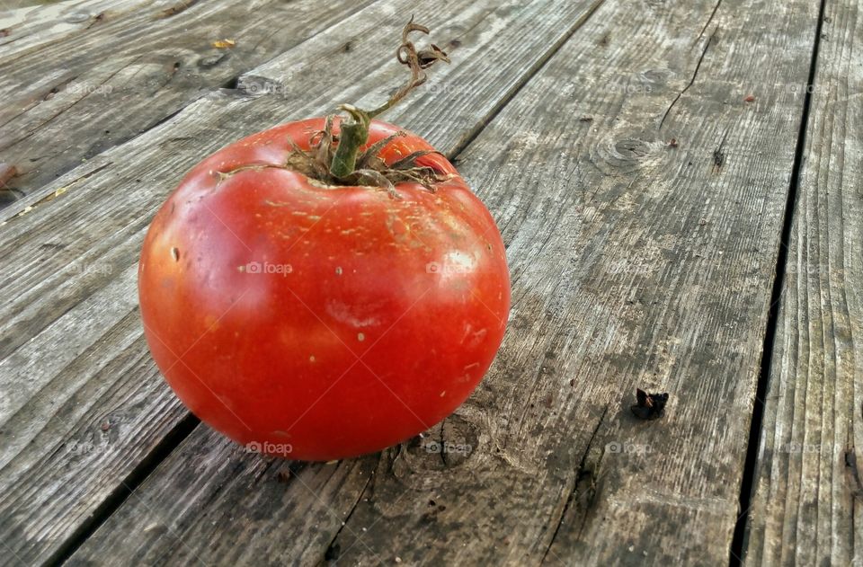 Beautiful naturally grown tomato
