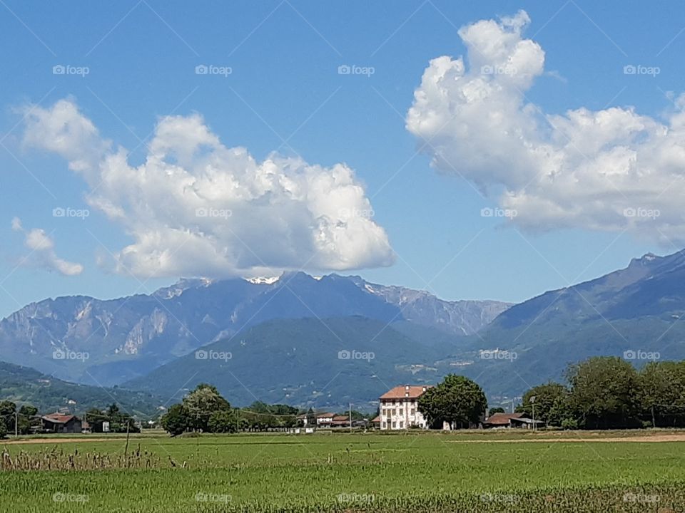 a green field under a blue sky