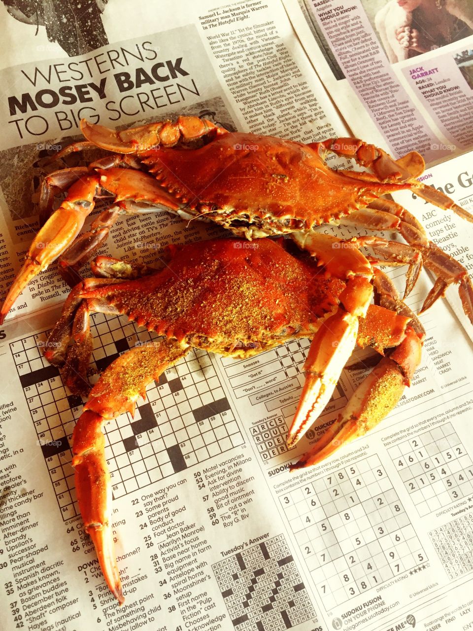 Fresh steamed Maryland Blue Crabs ready for your enjoyment.